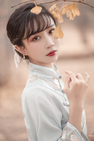 一树梨花压海棠在线观看免费