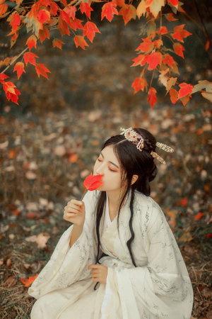 与君初相识电视剧