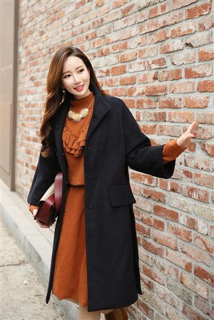 塞纳里奥议会声望