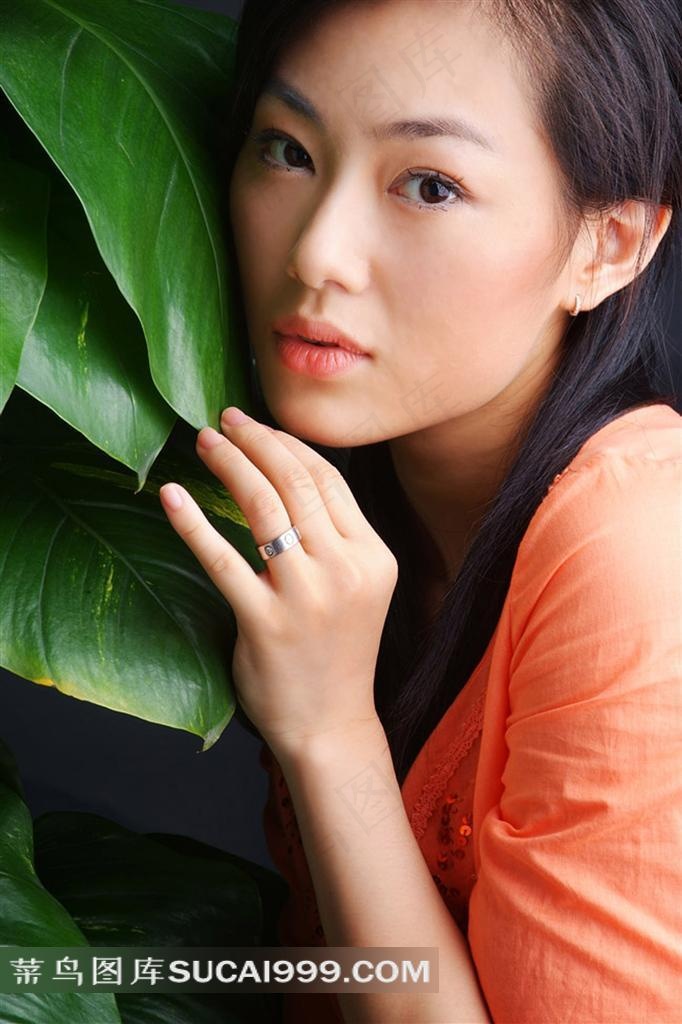 三人全程免费高清电视剧观看